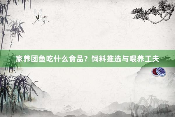 家养团鱼吃什么食品？饲料推选与喂养工夫